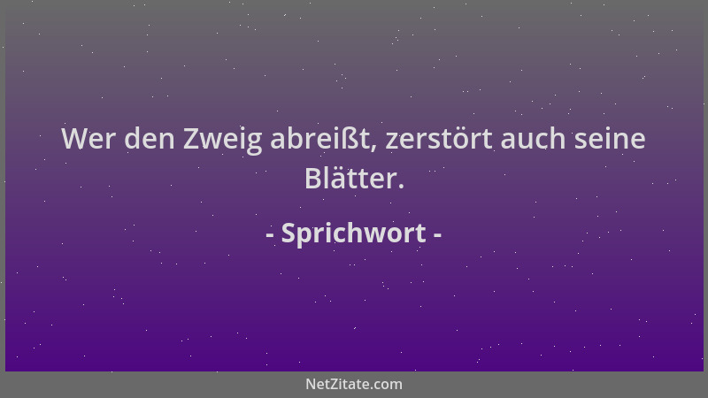 Sprichwort - Wer den Zweig abreißt, zerstört auch seine Blätter....