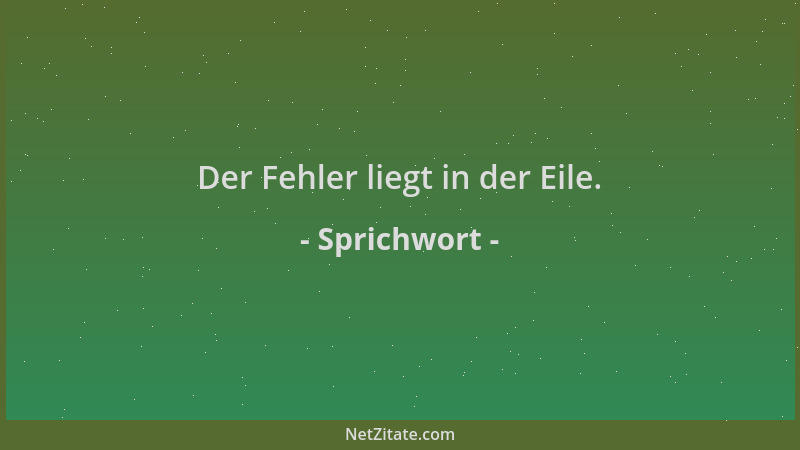 Sprichwort - Der Fehler liegt in der Eile....