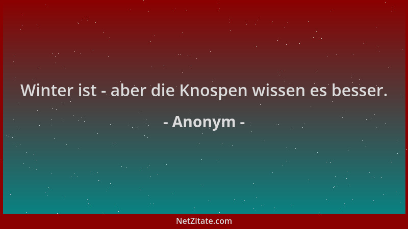 Anonym - Winter ist - aber die Knospen wissen es besser....