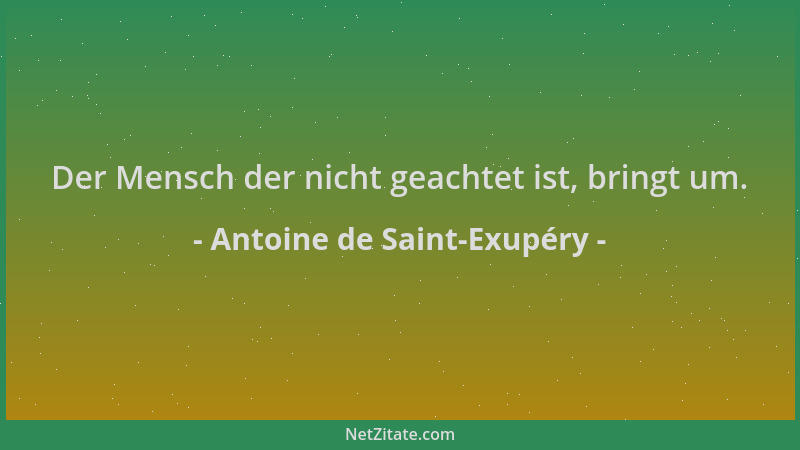 Antoine de Saint-Exupéry - Der Mensch der nicht geachtet ist, bringt um....