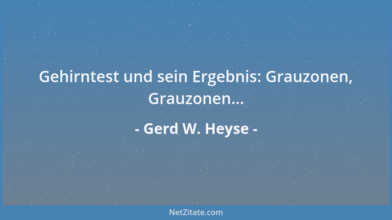 Gerd W. Heyse - Gehirntest und sein Ergebnis: Grauzonen, Grauzonen......