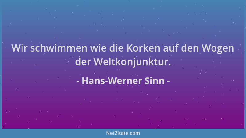 Hans-Werner Sinn - Wir schwimmen wie die Korken auf den Wogen der Weltkonjunktur....