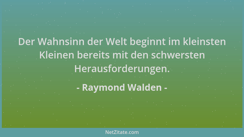 Raymond Walden - Der Wahnsinn der Welt beginnt im kleinsten Kleinen bereits mit den schwersten Herausforderungen....