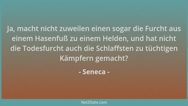 Seneca - Ja, macht nicht zuweilen einen sogar die Furcht aus einem Hasenfuß zu einem Helden, und hat nicht die Todesfurcht...