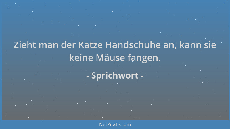 Sprichwort - Zieht man der Katze Handschuhe an, kann sie keine Mäuse fangen....