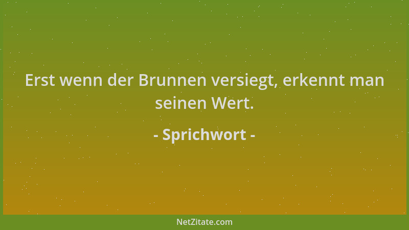 Sprichwort - Erst wenn der Brunnen versiegt, erkennt man seinen Wert....