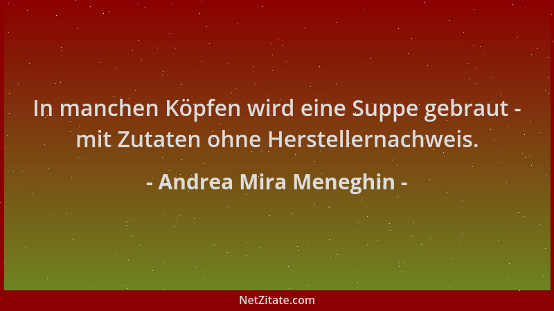 Andrea Mira Meneghin - In manchen Köpfen wird eine Suppe gebraut - mit Zutaten ohne Herstellernachweis....