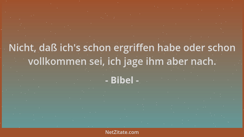 Bibel - Nicht, daß ich 's schon ergriffen habe oder schon vollkommen sei, ich jage ihm aber nach....
