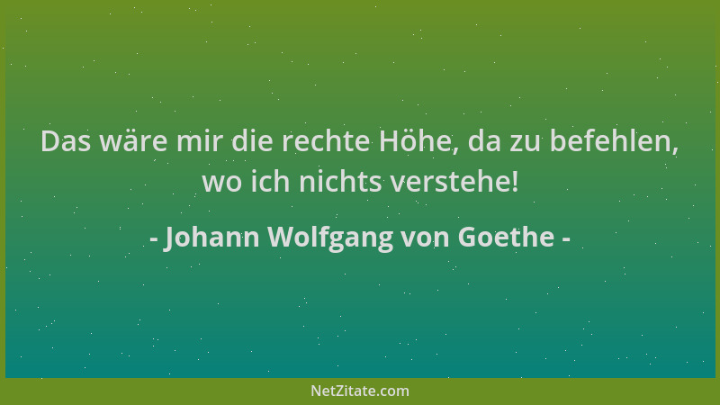Johann Wolfgang von Goethe - Das wäre mir die rechte Höhe, da zu befehlen, wo ich nichts verstehe!...