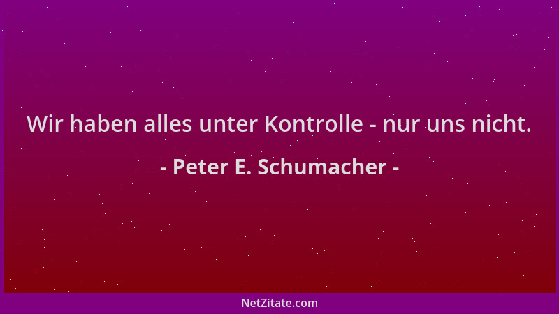 Peter E. Schumacher - Wir haben alles unter Kontrolle - nur uns nicht....