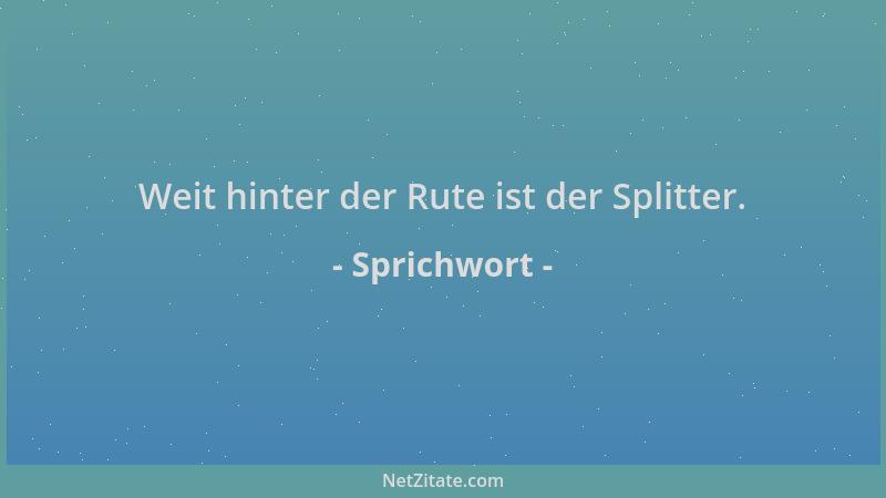 Sprichwort - Weit hinter der Rute ist der Splitter....