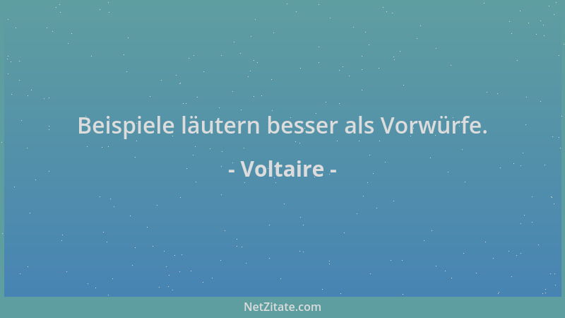 Voltaire - Beispiele läutern besser als Vorwürfe....