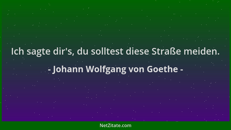 Johann Wolfgang von Goethe - Ich sagte dir 's, du solltest diese Straße meiden....