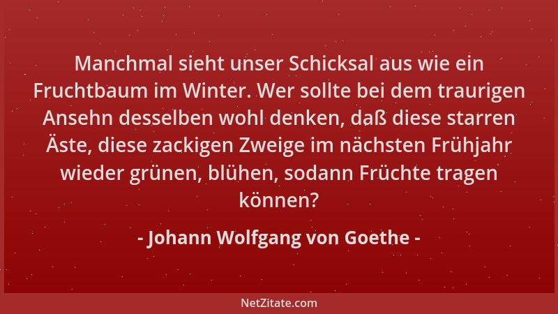 Johann Wolfgang von Goethe - Manchmal sieht unser Schicksal aus wie ein Fruchtbaum im Winter. Wer sollte bei dem traurigen...