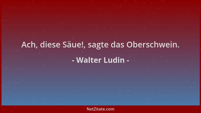 Walter Ludin - Ach, diese Säue!, sagte das Oberschwein....