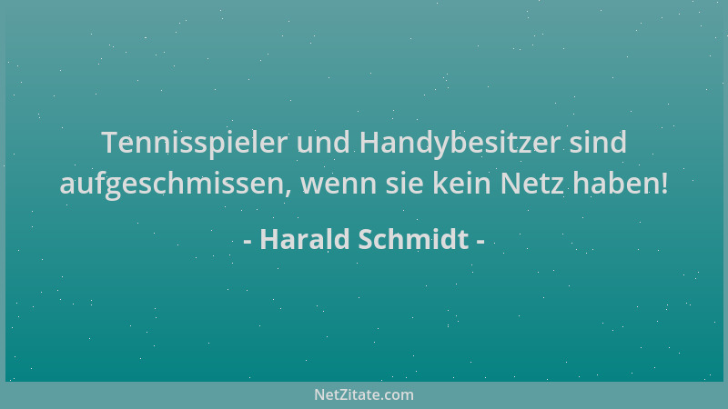 Harald Schmidt - Tennisspieler und Handybesitzer sind aufgeschmissen, wenn sie kein Netz haben!...
