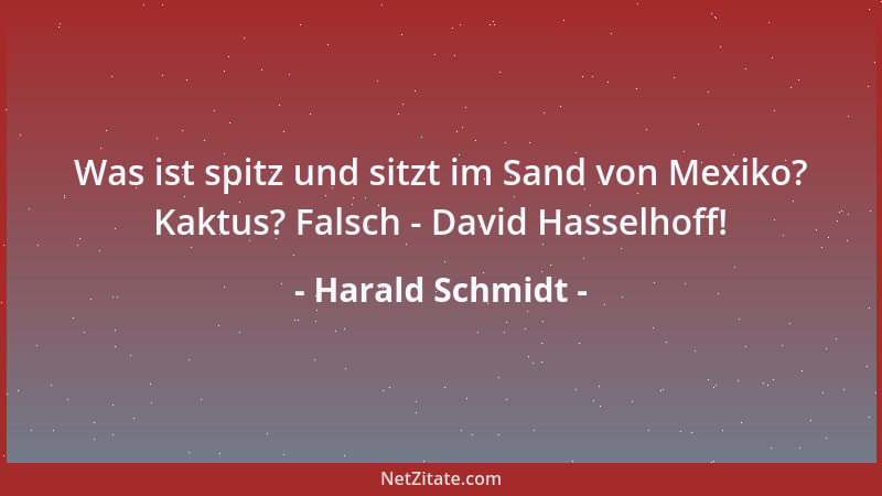 Harald Schmidt - Was ist spitz und sitzt im Sand von Mexiko? Kaktus? Falsch - David Hasselhoff!...