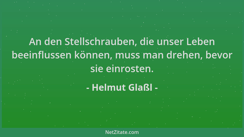 Helmut Glaßl - An den Stellschrauben, die unser Leben beeinflussen können, muss man drehen, bevor sie einrosten....