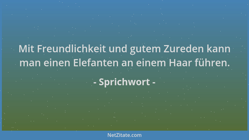 Sprichwort - Mit Freundlichkeit und gutem Zureden kann man einen Elefanten an einem Haar führen....