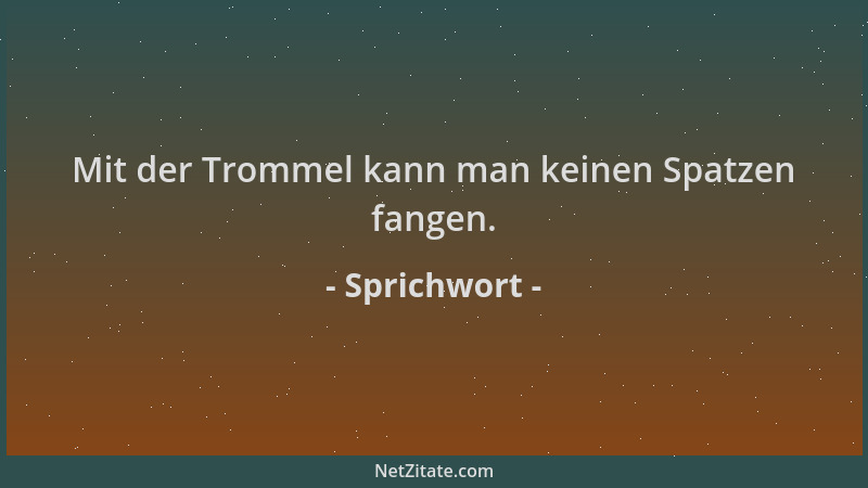 Sprichwort - Mit der Trommel kann man keinen Spatzen fangen....