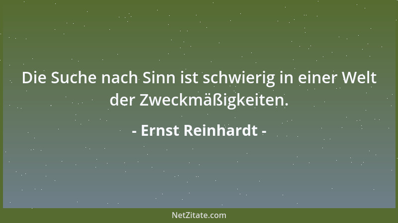 Ernst Reinhardt - Die Suche nach Sinn ist schwierig in einer Welt der Zweckmäßigkeiten....