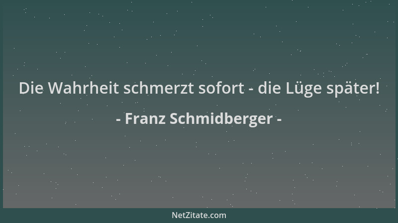 Franz Schmidberger - Die Wahrheit schmerzt sofort - die Lüge später!...