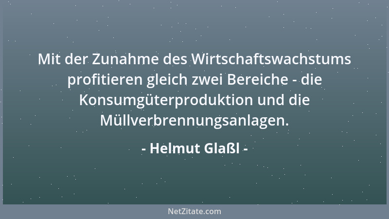Helmut Glaßl - Mit der Zunahme des Wirtschaftswachstums profitieren gleich zwei Bereiche - die Konsumgüterproduktion und di...