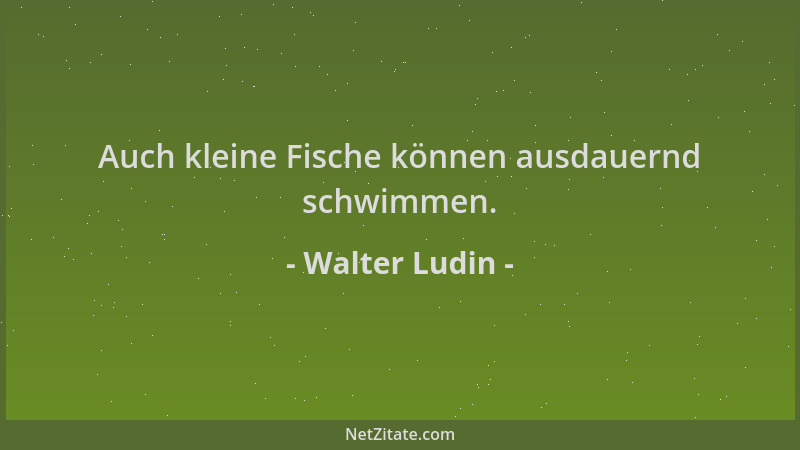 Walter Ludin - Auch kleine Fische können ausdauernd schwimmen....