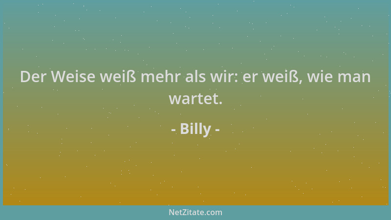 Billy - Der Weise weiß mehr als wir: er weiß, wie man wartet....