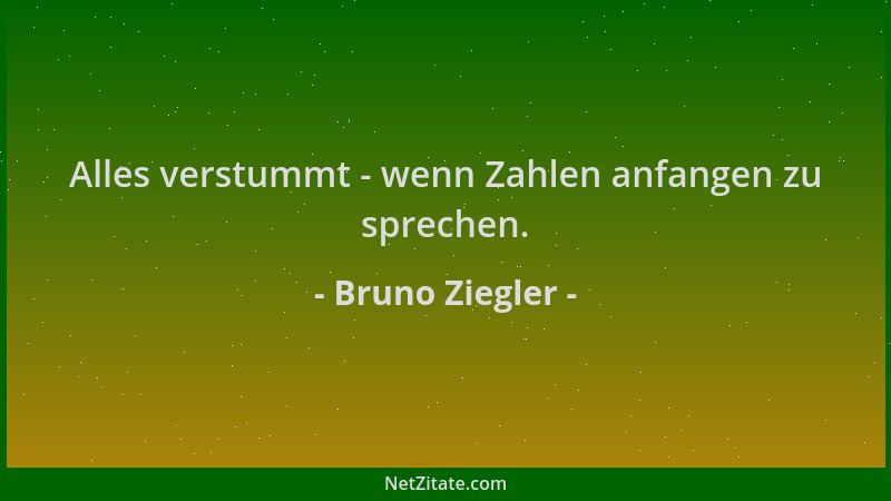 Bruno Ziegler - Alles verstummt - wenn Zahlen anfangen zu sprechen....