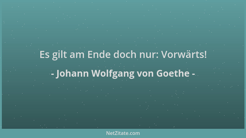 Johann Wolfgang von Goethe - Es gilt am Ende doch nur: Vorwärts!...