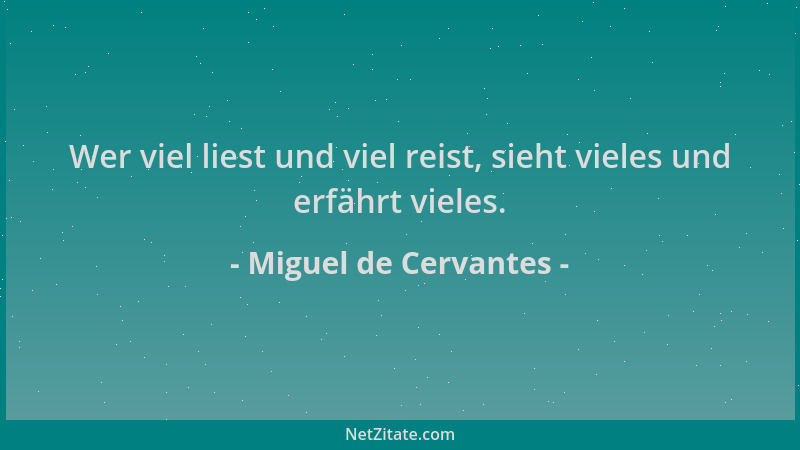 Miguel de Cervantes - Wer viel liest und viel reist, sieht vieles und erfährt vieles....
