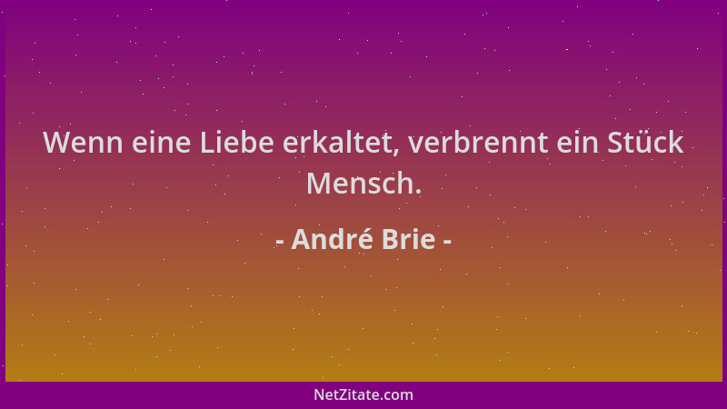 André Brie - Wenn eine Liebe erkaltet, verbrennt ein Stück Mensch....