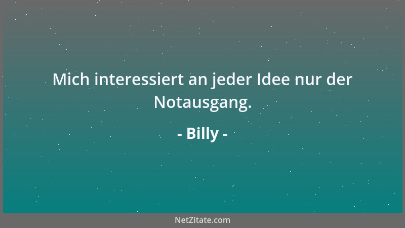 Billy - Der Wortschatz eines redenden Menschen ist merkwürdig leuchtschwach und lichtlahm - die ausgesprochenen Wörter saus...