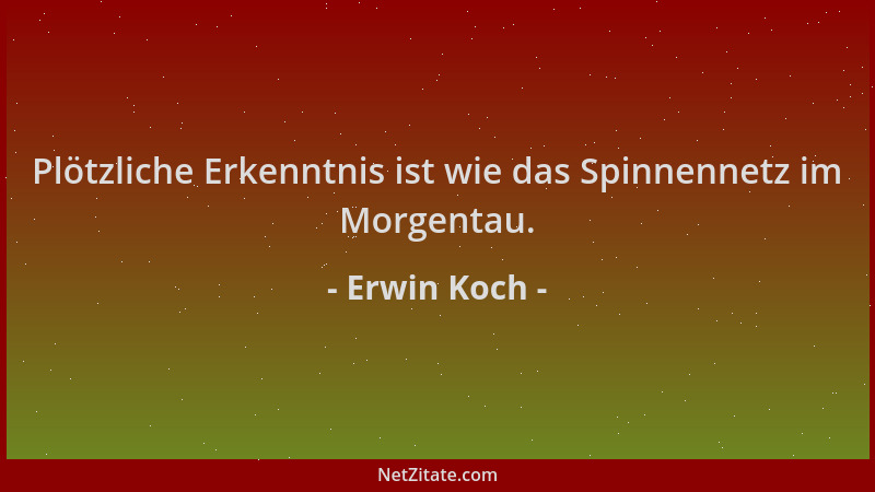 Erwin Koch - Plötzliche Erkenntnis ist wie das Spinnennetz im Morgentau....