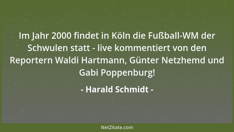 Harald Schmidt - Im Jahr 2000 findet in Köln die Fußball-WM der Schwulen statt - live kommentiert von den Reportern Waldi H...
