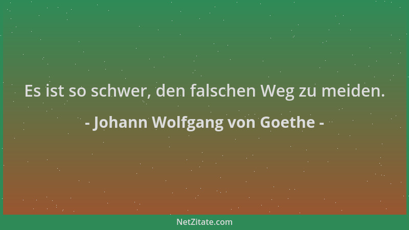 Johann Wolfgang von Goethe - Es ist so schwer, den falschen Weg zu meiden....