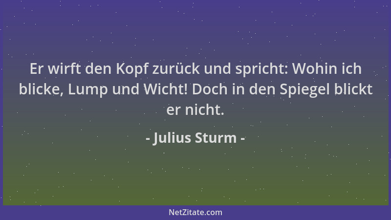 Julius Sturm - Er wirft den Kopf zurück und spricht: Wohin ich blicke, Lump und Wicht! Doch in den Spiegel blickt er nicht....