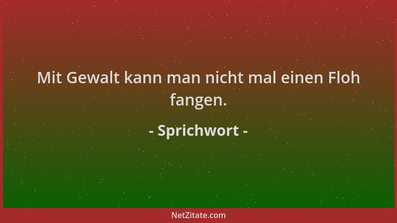 Sprichwort - Mit Gewalt kann man nicht mal einen Floh fangen....