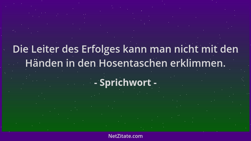Sprichwort - Die Leiter des Erfolges kann man nicht mit den Händen in den Hosentaschen erklimmen....