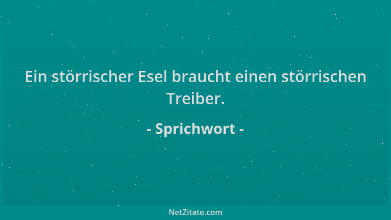 Sprichwort - Ein störrischer Esel braucht einen störrischen Treiber....