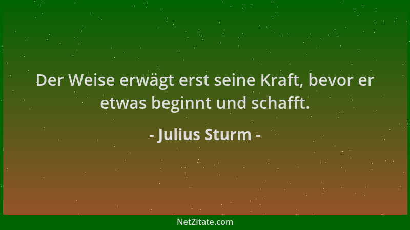 Julius Sturm - Der Weise erwägt erst seine Kraft, bevor er etwas beginnt und schafft....