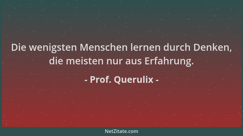 Prof. Querulix - Die wenigsten Menschen lernen durch Denken, die meisten nur aus Erfahrung....