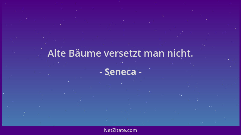 Seneca - Alte Bäume versetzt man nicht....