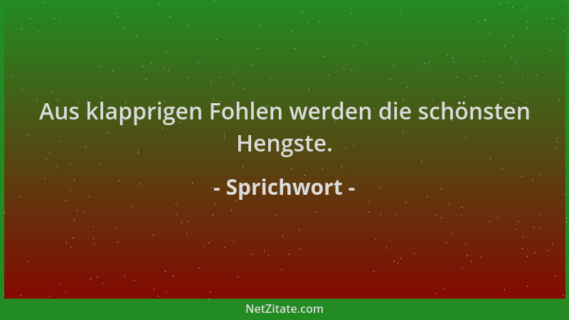 Sprichwort - Aus klapprigen Fohlen werden die schönsten Hengste....