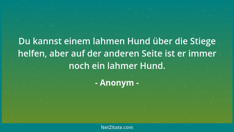 Anonym - Du kannst einem lahmen Hund über die Stiege helfen, aber auf der anderen Seite ist er immer noch ein lahmer Hund....
