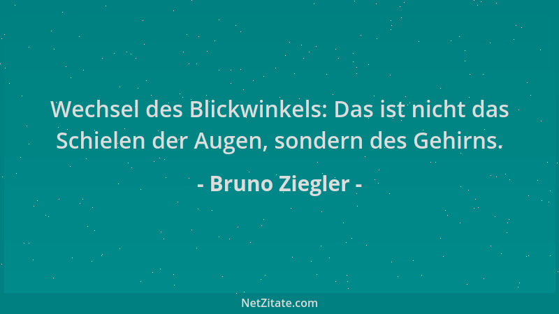Bruno Ziegler - Wechsel des Blickwinkels: Das ist nicht das Schielen der Augen, sondern des Gehirns....