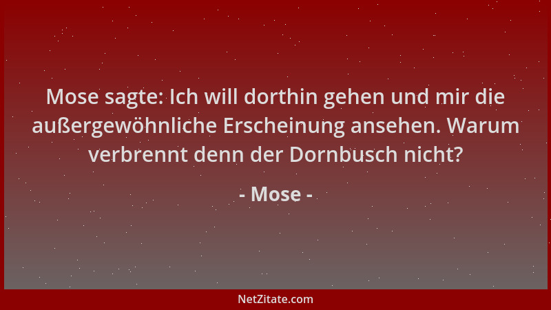 Mose - Mose sagte: Ich will dorthin gehen und mir die außergewöhnliche Erscheinung ansehen. Warum verbrennt denn der Dornbu...
