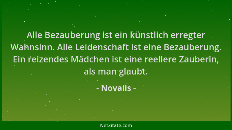 Novalis - Alle Bezauberung ist ein künstlich erregter Wahnsinn. Alle Leidenschaft ist eine Bezauberung. Ein reizendes Mädch...
