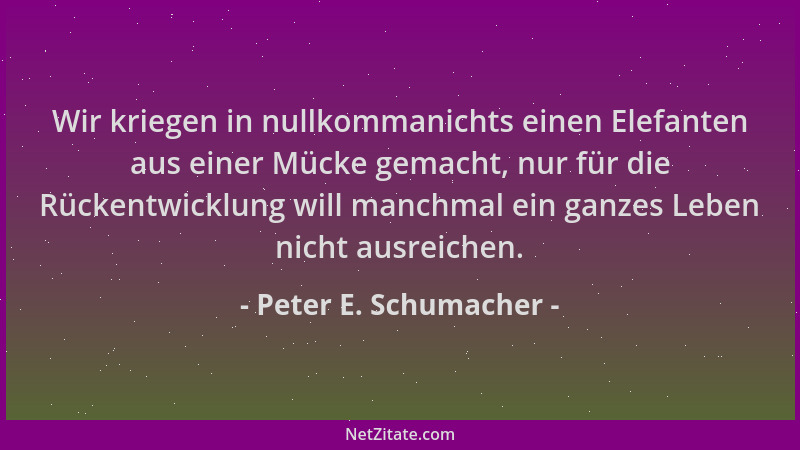 Peter E. Schumacher - Wir kriegen in nullkommanichts einen Elefanten aus einer Mücke gemacht, nur für die Rückentwicklung w...